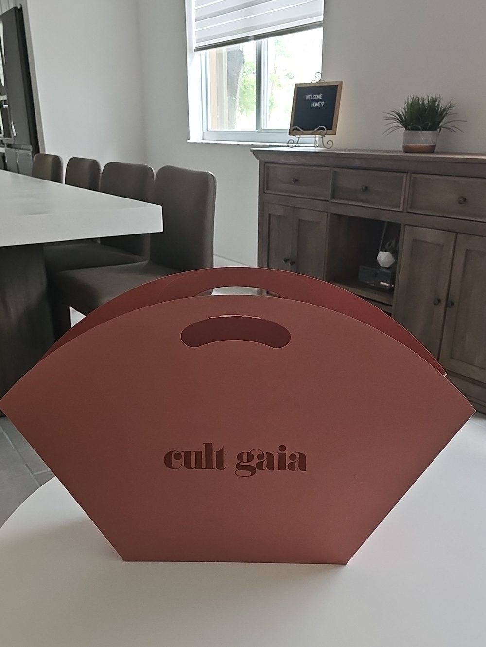 Cult Gaia Dusty Rose Gift Bag